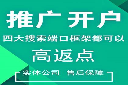 某大型企业选择SEM竞价代运营公司的决策过程与效果评估